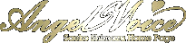 Angel Voice Logo